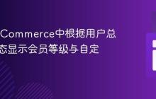 在WooCommerce中根据用户总消费动态显示会员等级与自定义文本