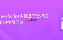 使用纯JavaScript实现基于选择框的动态表单字段显示