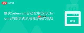 解决selenium自动化中访问chrome内部页面及获取源码的挑战