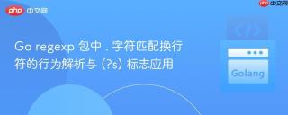 Go regexp 包中 . 字符匹配换行符的行为解析与 (?s) 标志应用