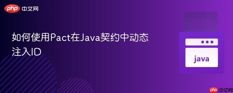 如何使用pact在java契约中动态注入id