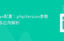 PHPStan配置：phpVersion参数的格式与应用解析