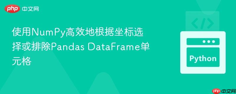使用NumPy高效地根据坐标选择或排除Pandas DataFrame单元格
