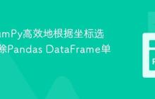 使用NumPy高效地根据坐标选择或排除Pandas DataFrame单元格