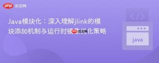 Java模块化：深入理解jlink的模块添加机制与运行时镜像优化策略