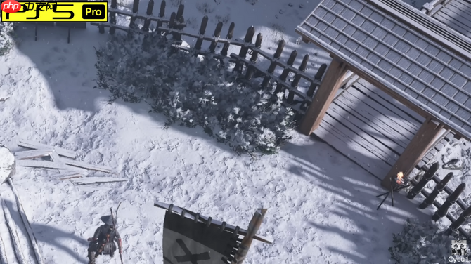 《刺客信条：影》Switch 2和PS5 Pro版画面对比