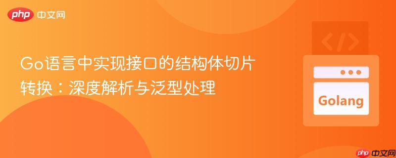 go语言中实现接口的结构体切片转换：深度解析与泛型处理