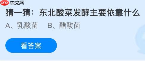 东北酸菜发酵主要依靠什么？蚂蚁庄园课堂今天答案最新11月12日