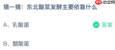 东北酸菜发酵主要依靠什么?蚂蚁庄园课堂今天答案最新11月12日