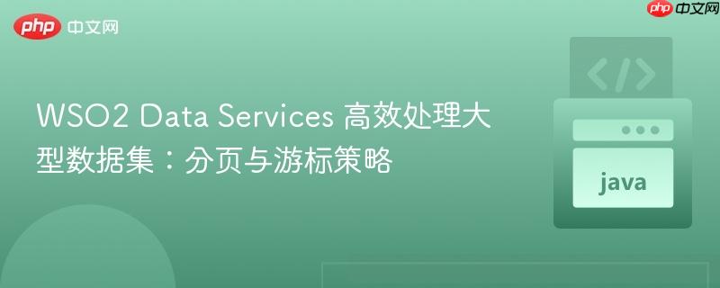 WSO2 Data Services 高效处理大型数据集：分页与游标策略
