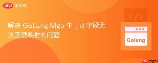 解决 GoLang Mgo 中 _id 字段无法正确映射的问题