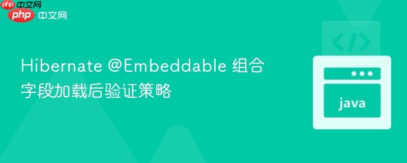 Hibernate @Embeddable 组合字段加载后验证策略