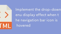 ナビゲーション バー アイコンをホバーしたときのドロップダウン メニューの表示効果を実装します。