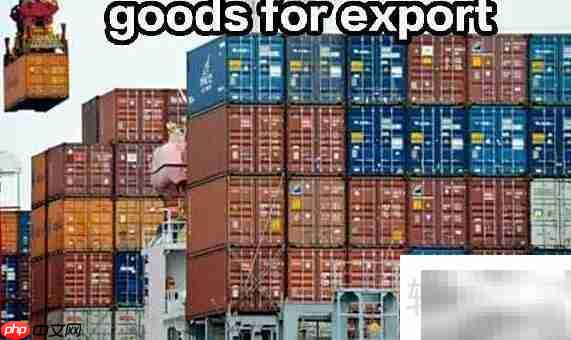 export中文意思是什么