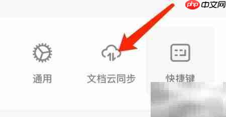 mac版wps如何开启办公助手