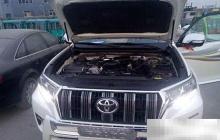 动力肉是什么？揭秘背后含义