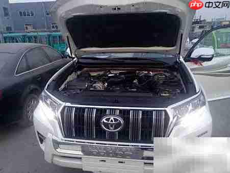 动力肉是什么？揭秘背后含义