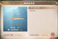 《无限暖暖》家园养鱼无限刷熟练度技巧
