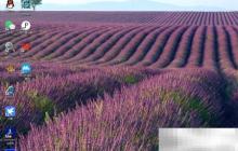 台式机如何关闭Workstation服务