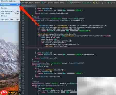 redis插件安装与使用指南
