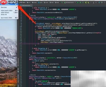 Redis插件安装与使用指南