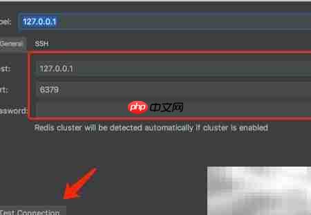 Redis插件安装与使用指南