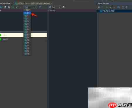 Redis插件安装与使用指南