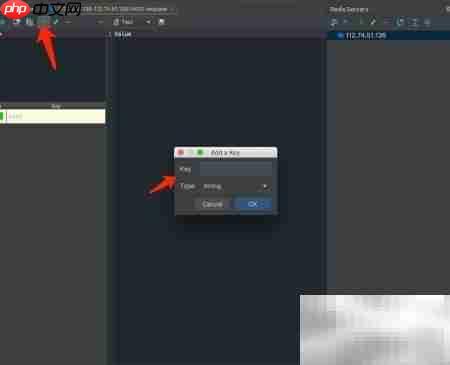 Redis插件安装与使用指南