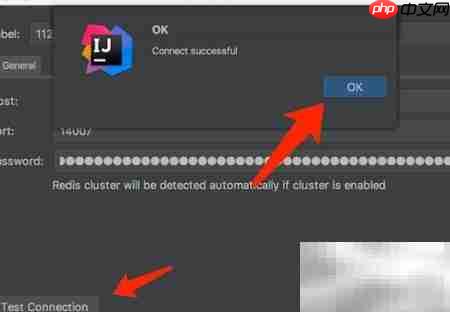 Redis插件安装与使用指南