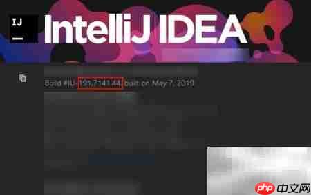 IDEA插件不兼容解决方法