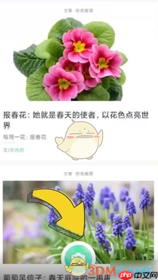 《形色》识别植物方法