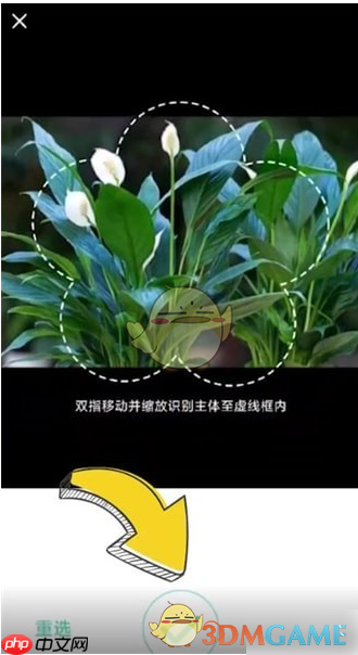 《形色》识别植物方法