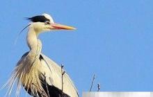 为理想注入前行力量