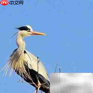 为理想注入前行力量