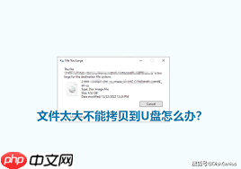 如何将大文件复制到U盘