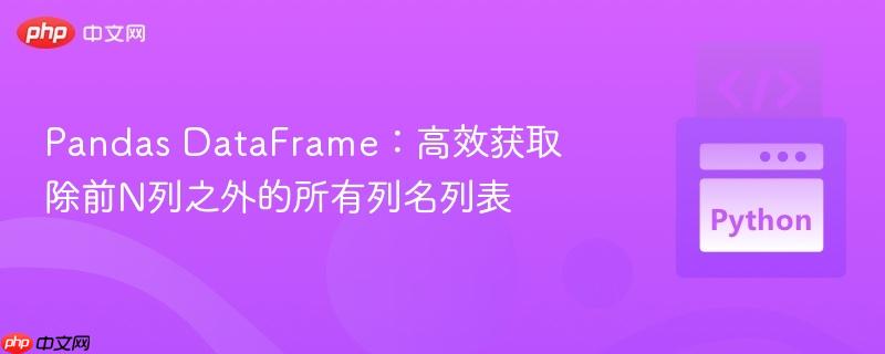 pandas dataframe：高效获取除前n列之外的所有列名列表
