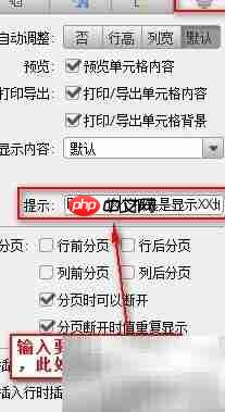 FineReport单元格提示设置