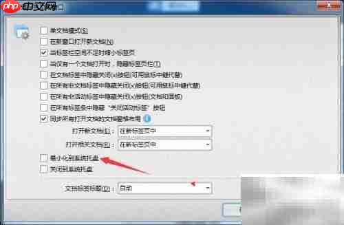 PDFXEdit最小化至托盘设置