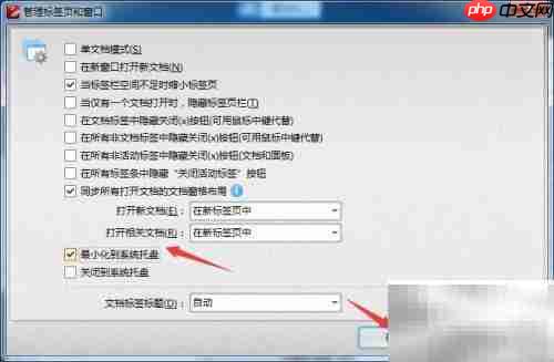 PDFXEdit最小化至托盘设置