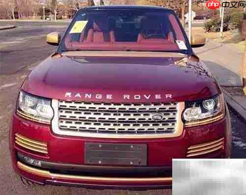 中国龙版路虎现3条金龙