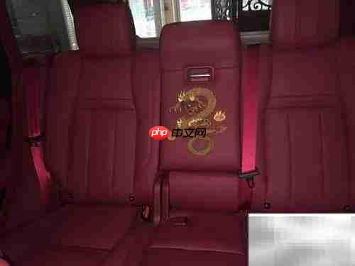 中国龙版路虎现3条金龙