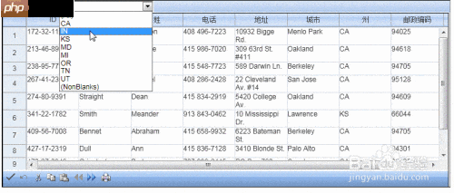Spread ASP.NET过滤操作指南