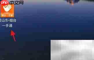 烟台一手通查etc方法