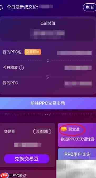 如何查看PPC取出记录