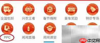 如何查看PPC取出记录