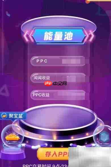 如何查看PPC取出记录