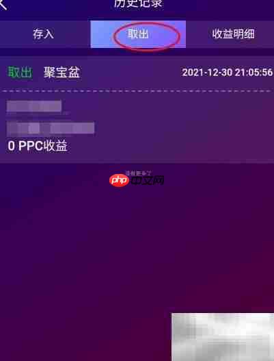 如何查看PPC取出记录
