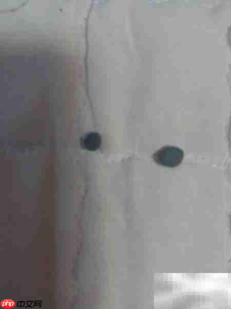 可爱柏柏兔手工制作