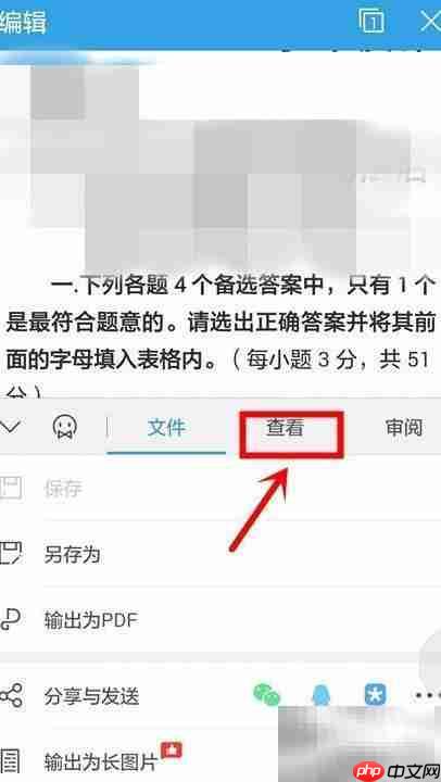 WPS手机端调整字体大小技巧