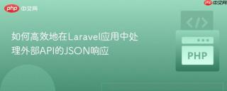 如何高效地在Laravel应用中处理外部API的JSON响应